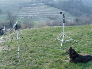 1524591_596574117063807_368650284_n